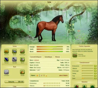 Combien as-tu de chevaux ? (Sur Equideow)