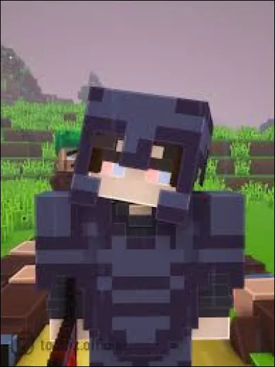 Connais-tu ''Minecraft'' ?