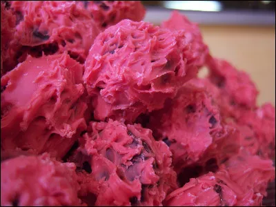 Quel est le nom de cette gourmandise d'Avignon ?