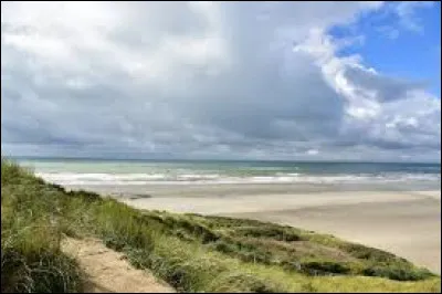 Dans quelle mer le Rhin se jette-t-il ?