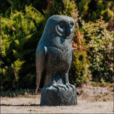 Quel animal accompagne Athéna ?