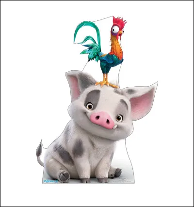 Comment s'appellent le poulet et le cochon dans Vaiana ?