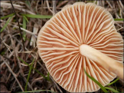 Situation stagnante.