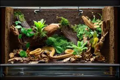 Comment s'appelle l'endroit où doit vivre un serpent si l'on en veut un chez soi ?