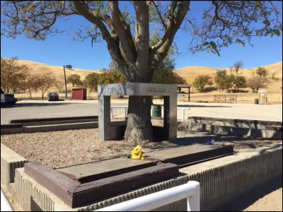 Quelle phrase (une de ses phrases préférées) tirée du ''Petit Prince'' est inscrite sur son mémorial ?