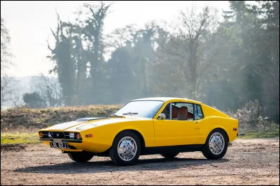 Dans les années 2010, le marché chinois était le marché qui rapportait le plus d'argent aux constructeurs automobiles. 30 ans plus tôt, ce marché lucratif était celui des États-Unis. En quête de prospérité, les constructeurs se sont lancés à la conquête de ce marché. Parmi ces essais, quelle est cette voiture ?