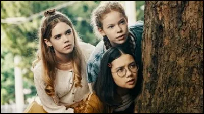 Ce sont 3 filles qui font des enqu&ecirc;tes :