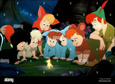 Bonus : Disney : Dans quel Disney sont les enfants perdus ?