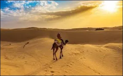 Géographie : Dans quels pays se situe le désert du Thar ?