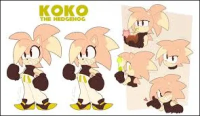 Quel pouvoir possède Koko ? ( Difficile)