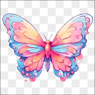 Suite de la question 4.
Qui est capable de voler ?