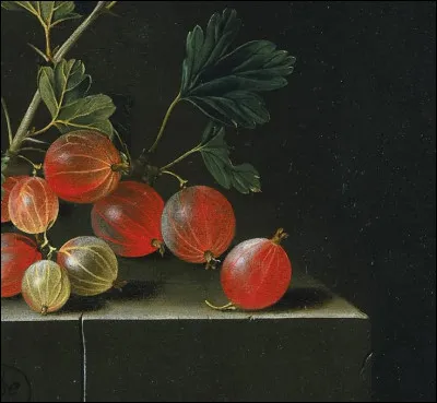 Quelles sont ces baies ?