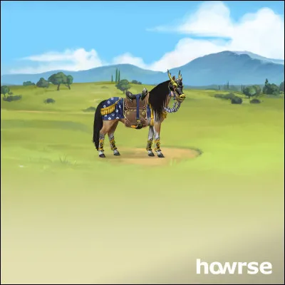 Cet équipement est celui...