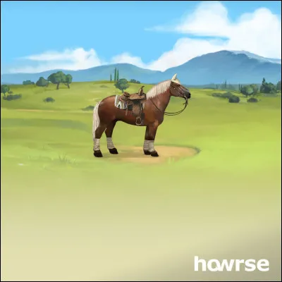 Cette jument est en équitation...