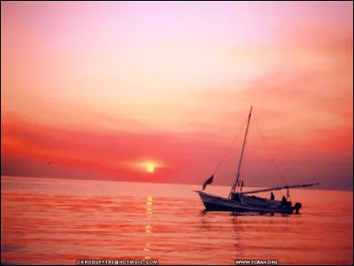 À quelle chanteuse faut-il attribuer le titre "Voyage, Voyage" ?