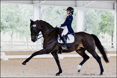 Quelle est cette discipline ?