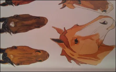 Quel est le nom de cette liste ?