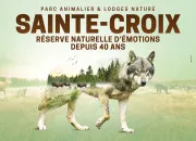 Test Pourrais-tu aller au parc animalier de Sainte-Croix ?