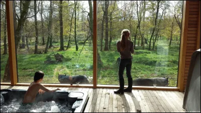 Ça te dérangerait de dormir devant des animaux sauvages ?