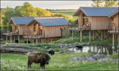Préfères-tu te faire livrer ton petit déjeuner chez toi ou l'acheter ?
