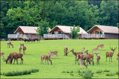 Aimes-tu quand il y a des logements pour dormir sur place ?