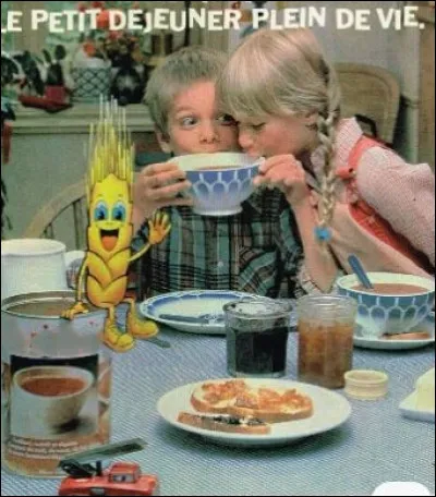 Quel était ce délicieux petit-déjeuner instantané dont on raffolait ?
