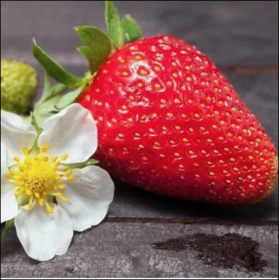 Quel est le nom de cette fraise, la plus célèbre et la plus vendue en France ?