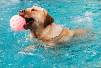 Quel conseil pratiquer lors de l'heure du bain ?