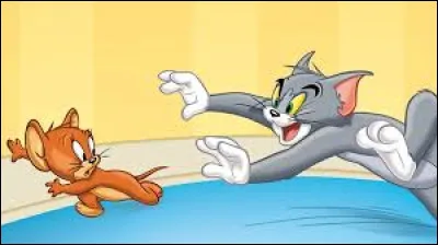 D'après cette photo, on y voit Tom le chat. Comment se nomme la souris ?