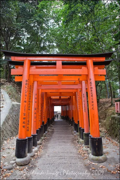 Dans la culture japonaise le kitsune est...