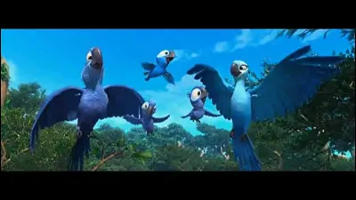 Un peu de culture sur le cinéma maintenant !
Comment s'appelle ce film qui suit les aventures d'un ara bleu ?