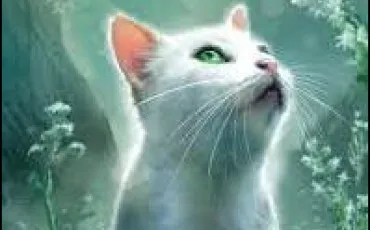 Quiz Erin hunter