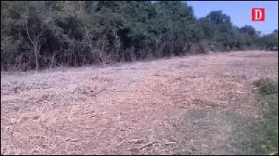 Km 9,5 : Germ. Ce terme "Germ" nous vient du Moyen-Âge. À cette époque, qu'était-ce ?