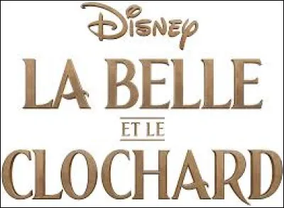 Dans le long-métrage sorti en 1955 " La Belle et le Clochard", que désigne le clochard ?