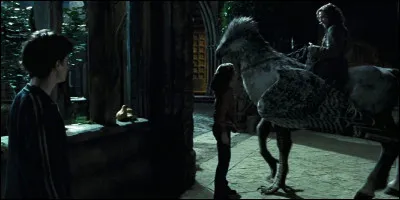 Quand Harry, Ron et Hermione vont voir Sirius, dans le tome 4, &agrave; quoi est attach&eacute; Buck ?