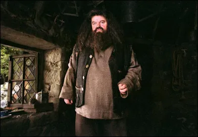 À quelle date Hagrid s'est-il fait injustement accuser par Tom ?