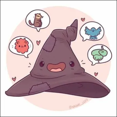 Qui sont le premier et le dernier élève qui coiffent le Choixpeau Magique dans le tome 4 ?