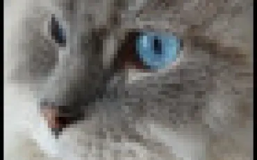 Quiz Test de personnalit