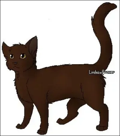 Retour à l'apprentissage d'Etoile Filante. Il a failli tuer Nuage de Taupe :