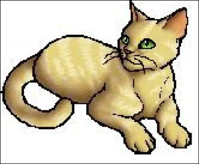 Qui est le mentor d'Étoile Filante ?