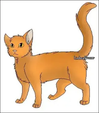 Où et comment meurt Ajonc des Sables ?