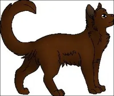 Qui Nuage Filant accuse-t-il d'avoir tué son père ?