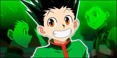 Si tu étais dans ''Hunter × Hunter'', comment verrais-tu Gon ?