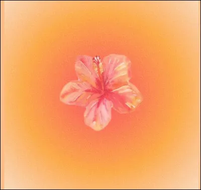 Quel est ton pire défaut ?