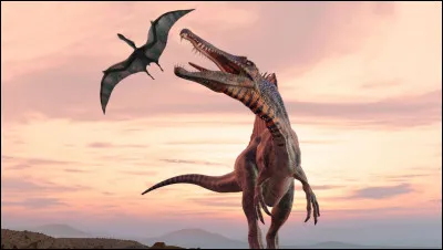 Si quelquun te frappe et tinsulte que fais-tu ?