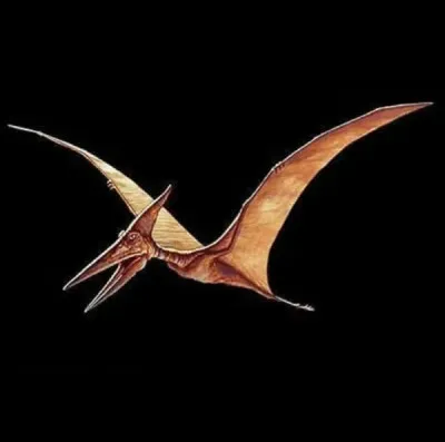 Quel est ton film préféré ?