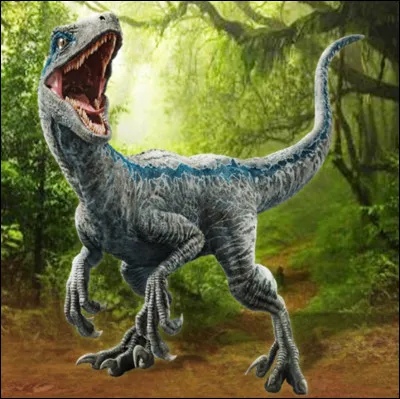 Si on te donne 100  quen fais-tu ?