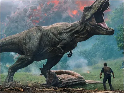 Quel est ton animal préféré ?