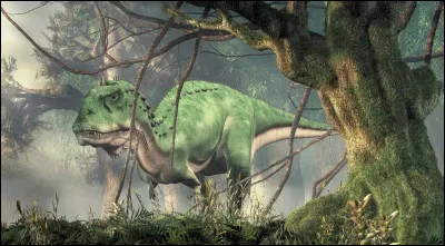 Quel sport fais-tu ?