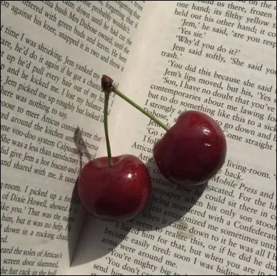 Quel trait de caractère te qualifie le mieux ?